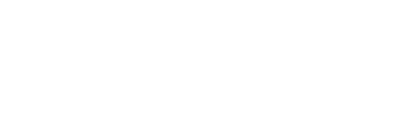 NYU STERN Executive MBA Logo