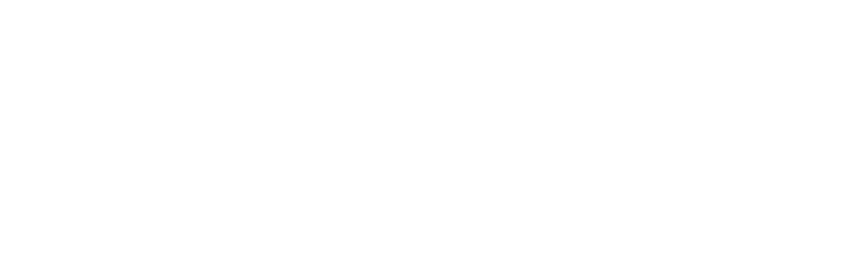 NYU Stern Executive MBA